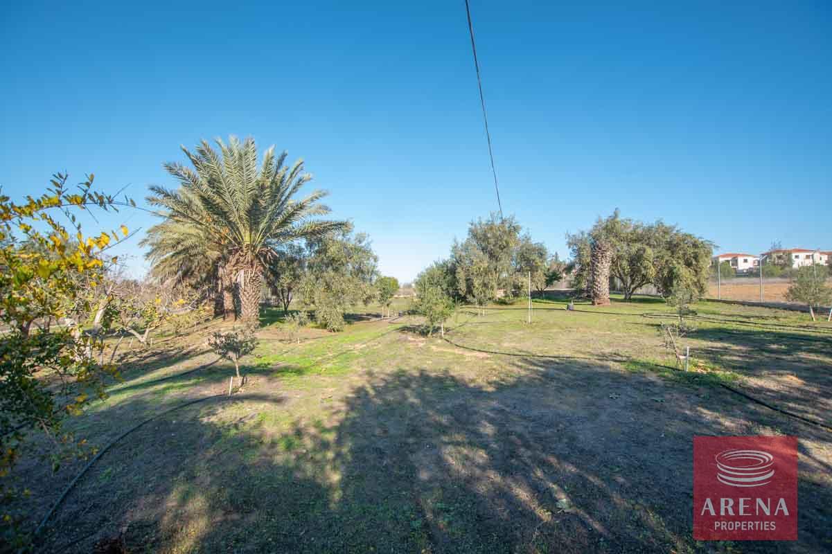 4-4-BED-VILLA-FOR-RENT-IN-VRYSOULLES-5956-2