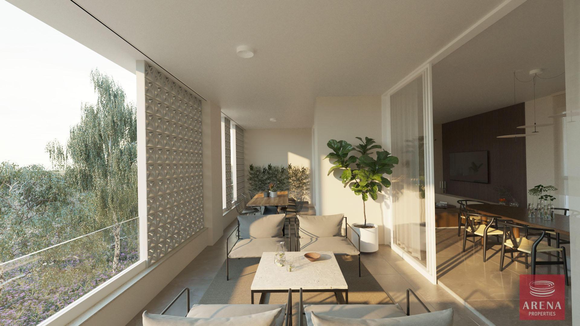 4-APTS-IN-DERYNIA-8150-3