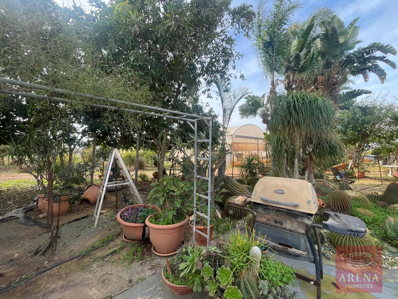 4-BUNGALOW-IN-ORMIDIA-9314