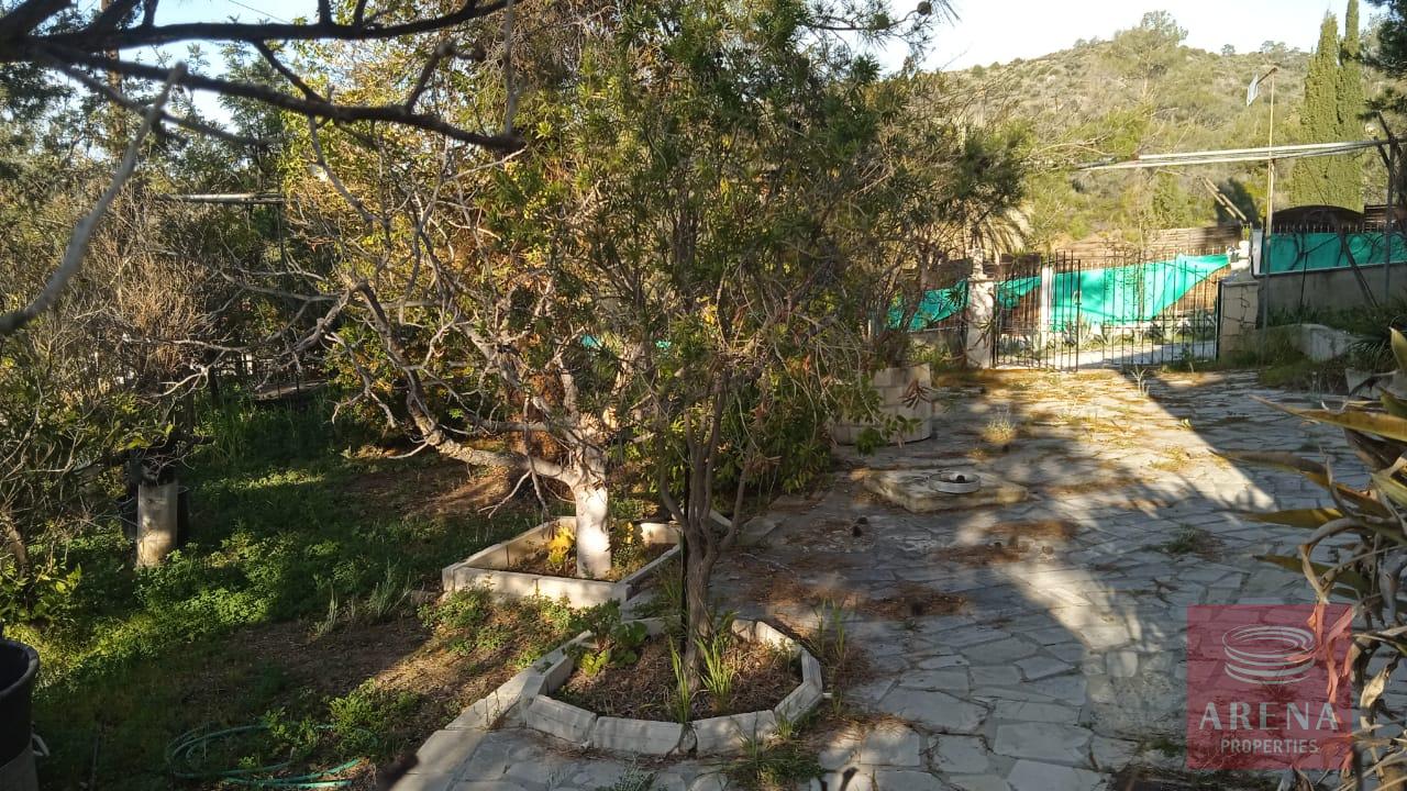 4-HOUSE-IN-LAGEIA-9326-1