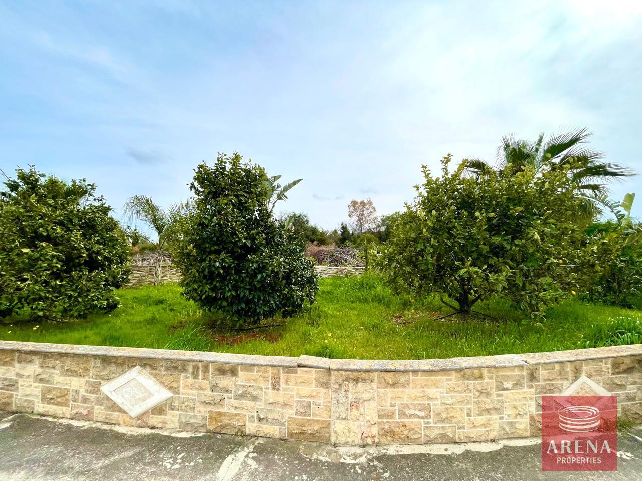 4-VILLA-IN-PROTARAS-9236-1