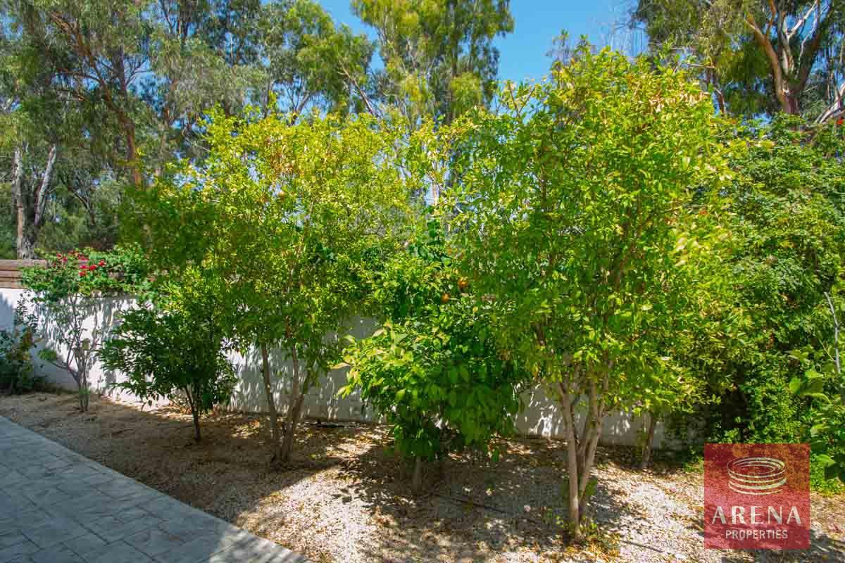 4-ayia-napa-property-4922-2