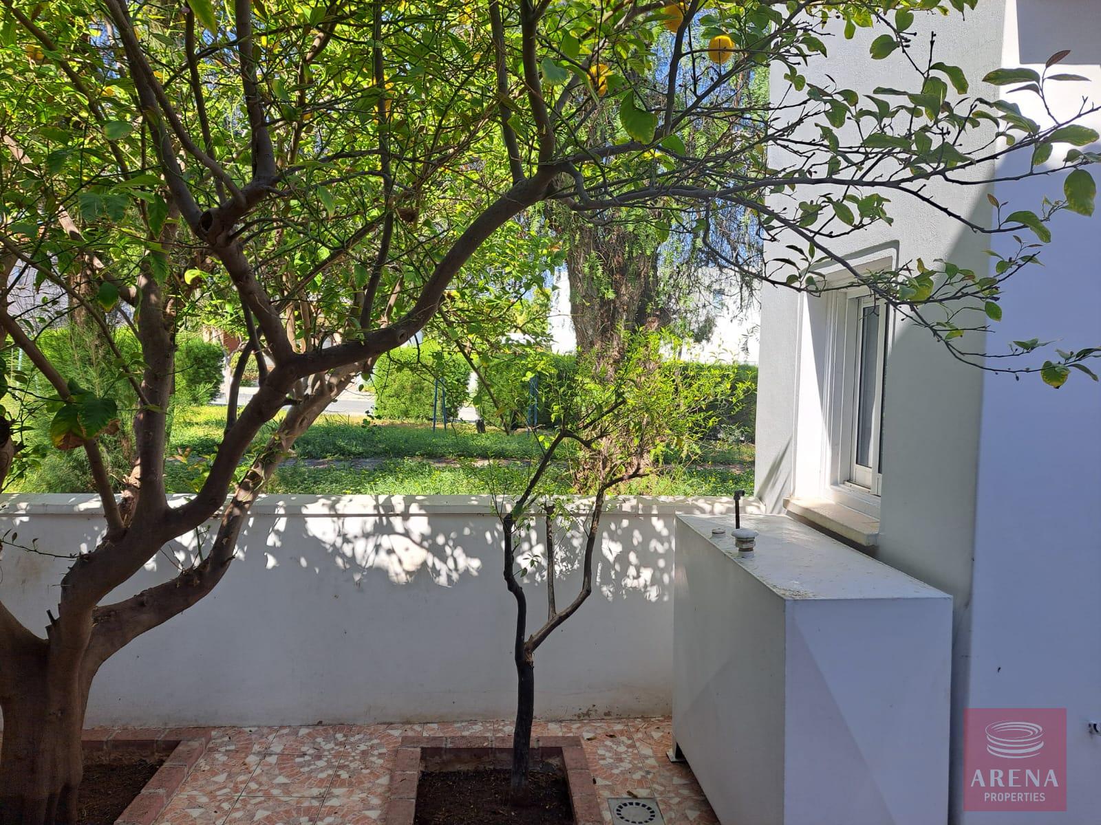 4-bed-house-Klima-Zourides-6