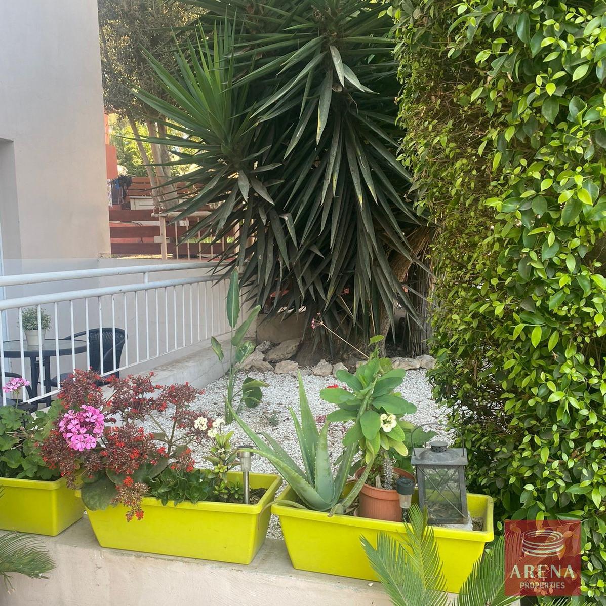 4-gf-apt-in-ayia-napa-6183-1