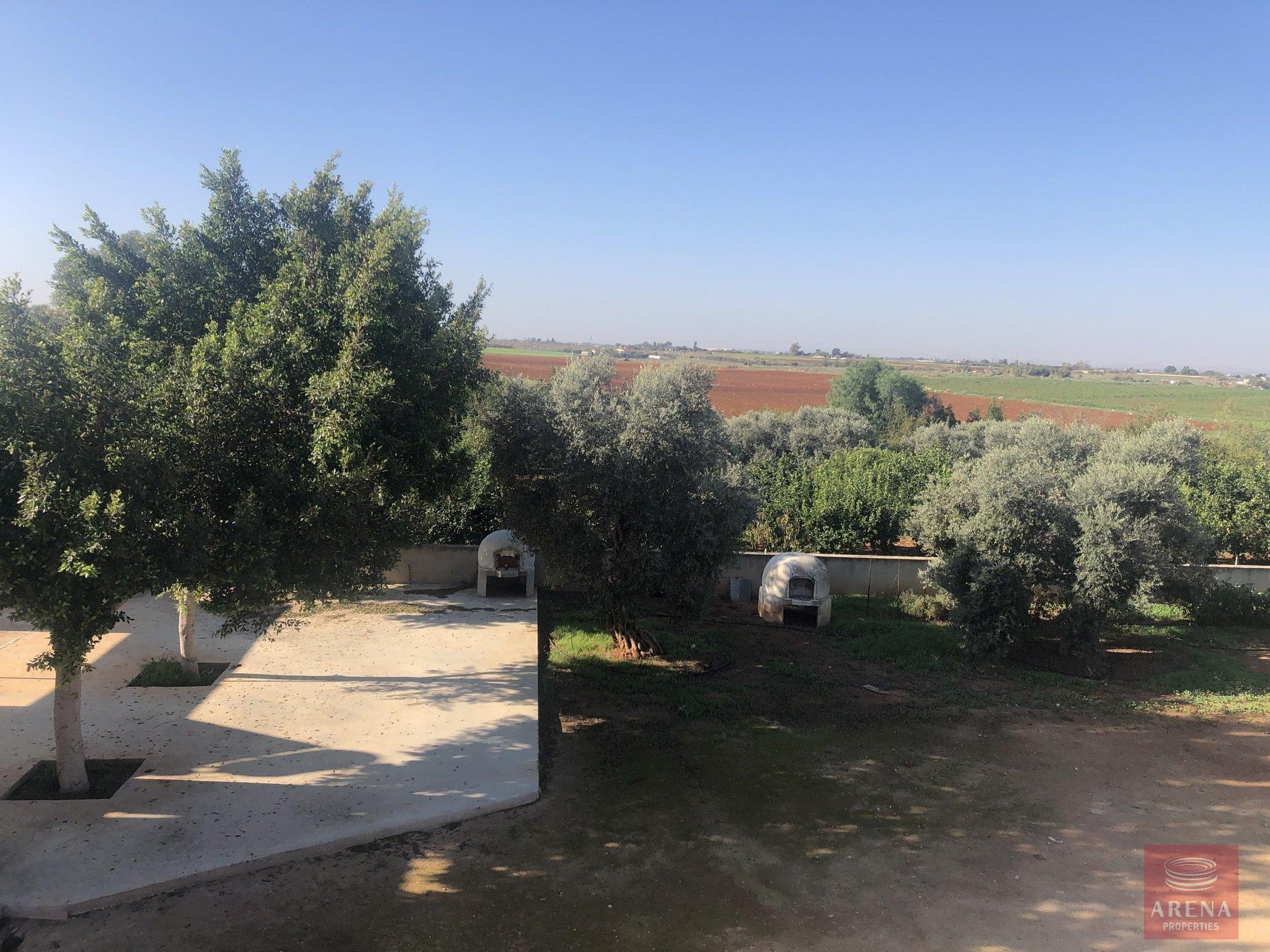 4-villa-in-frenaros-5106-3