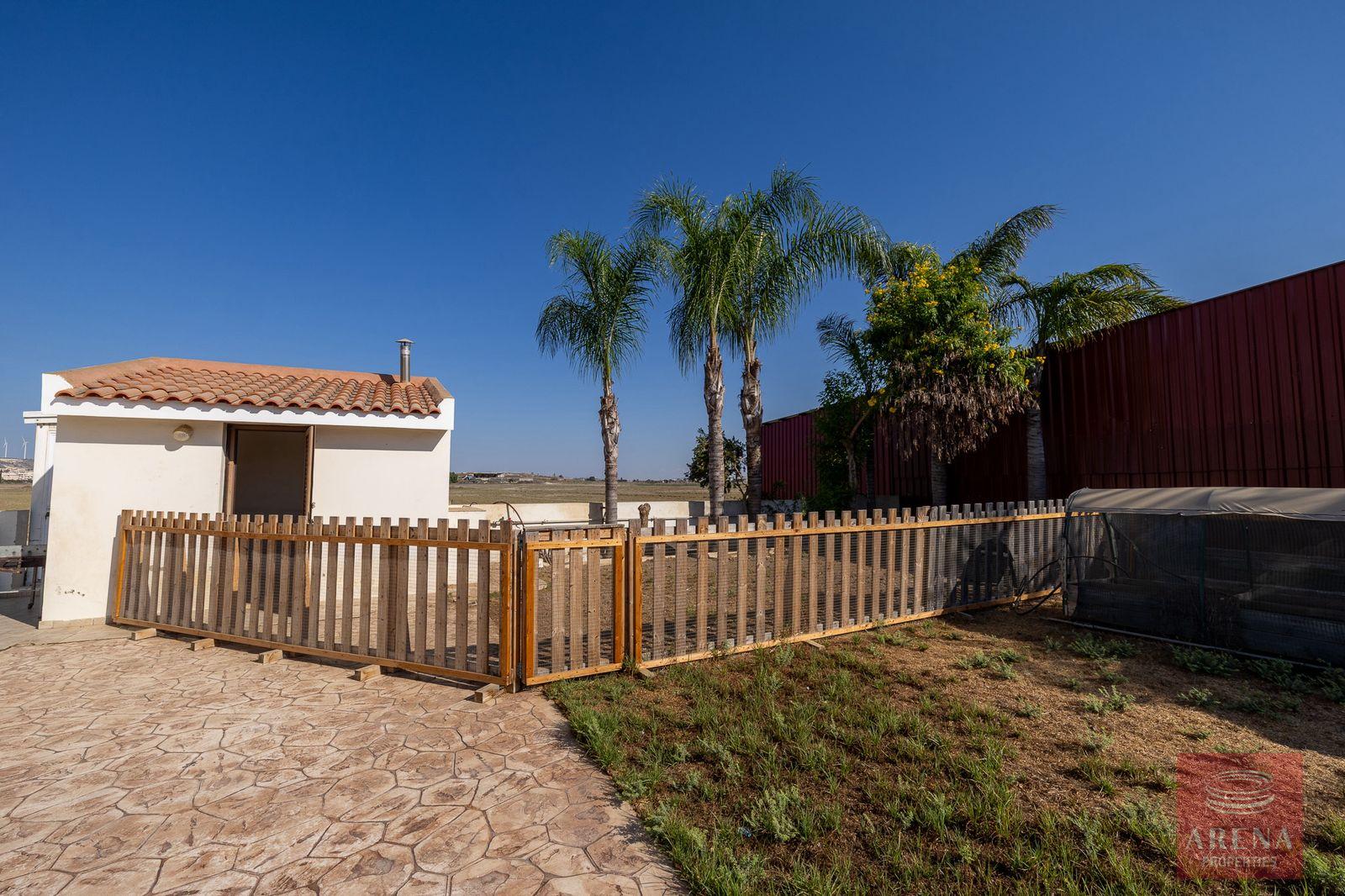 5-5-bed-villa-kiti-10152-5