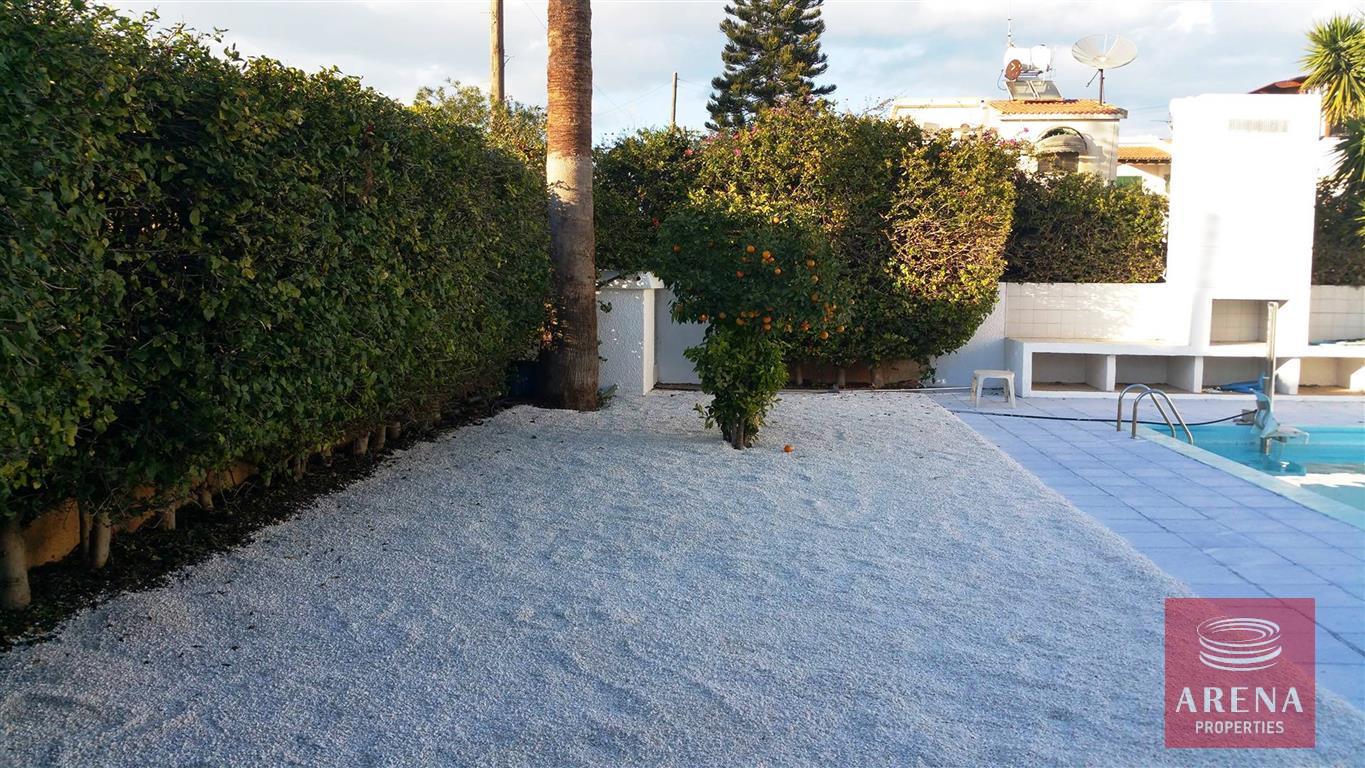 5-6-bed-villa-for-sale-in-ayia-napa-pool-area-1