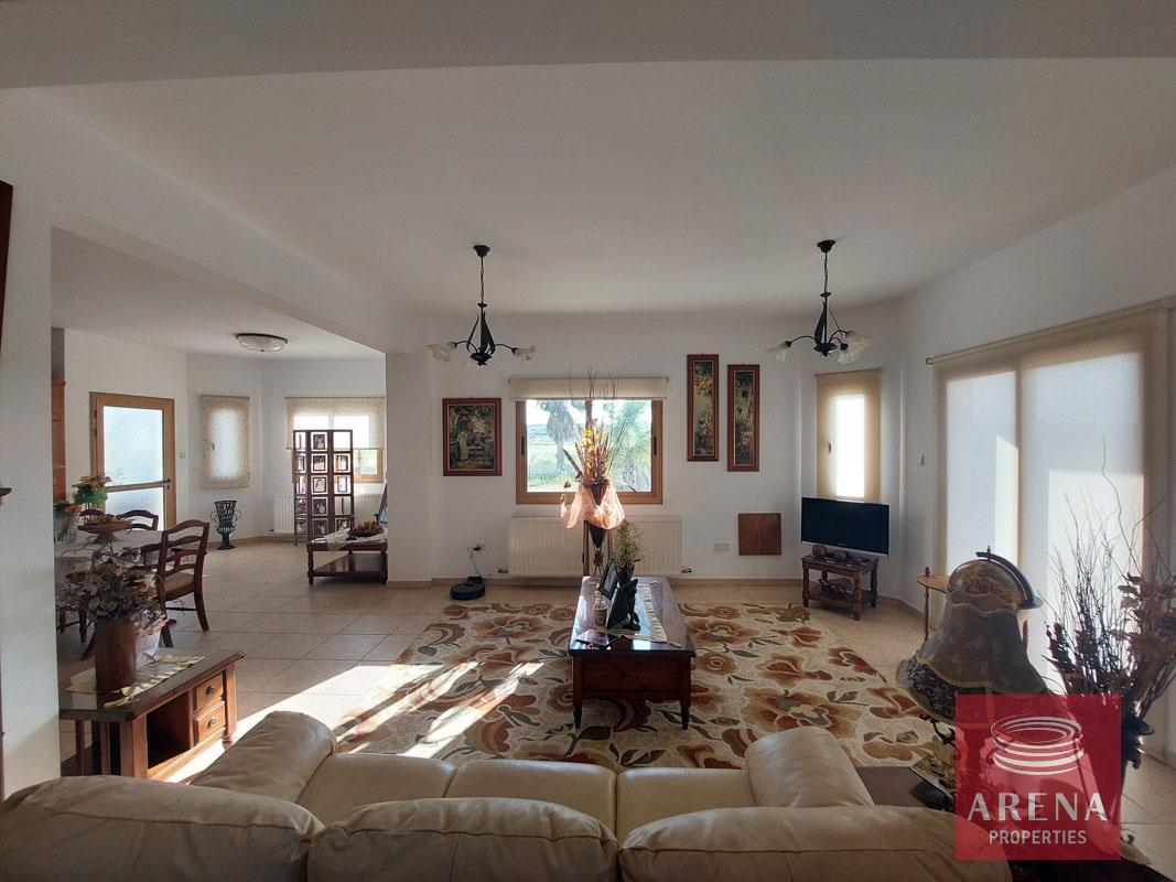 5-6-bed-villa-in-xylofagou-7278-1