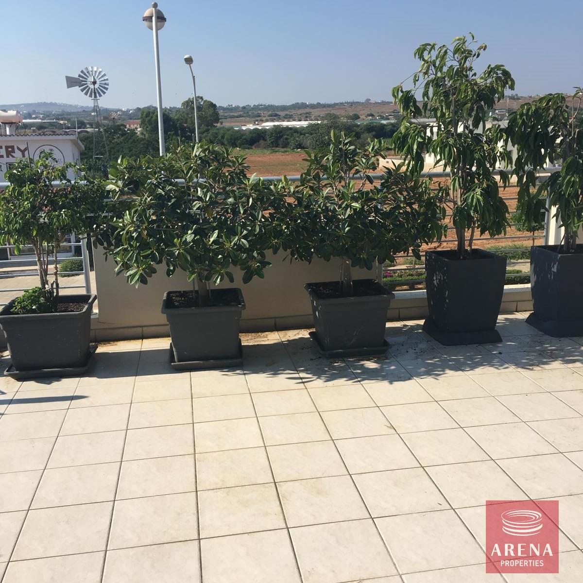 5-APT-FOR-RENT-IN-KAPPARIS-8683