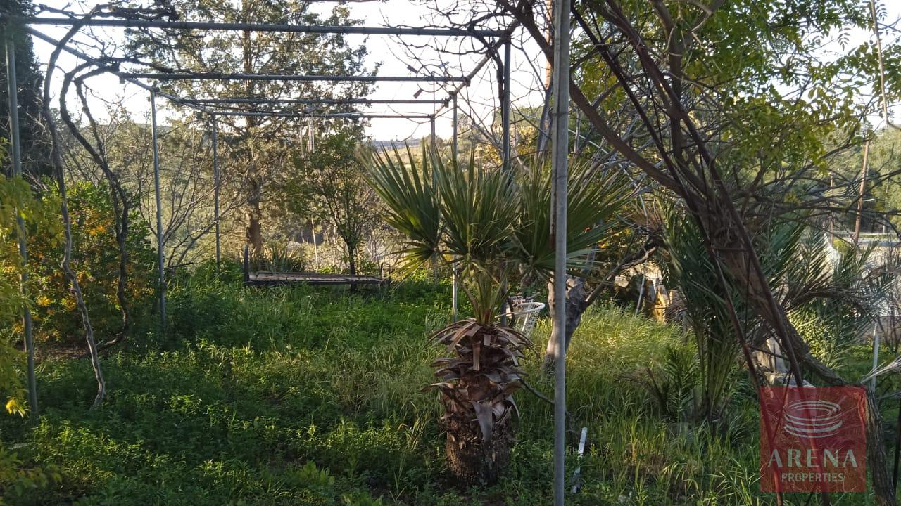 5-HOUSE-IN-LAGEIA-9326-1