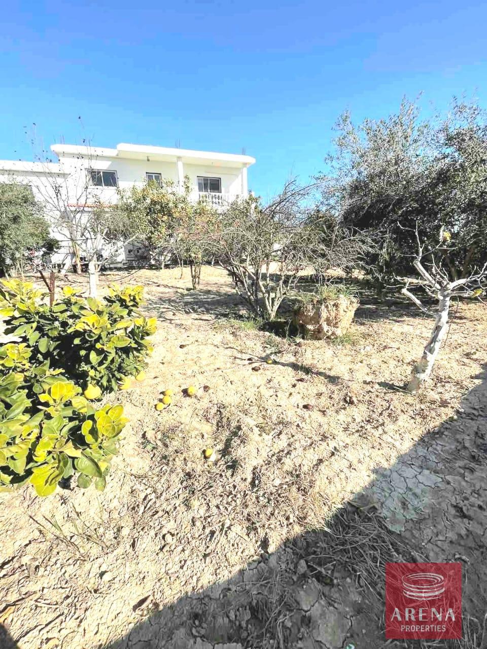 5-VILLA-IN-ANAFOTIDA-9094