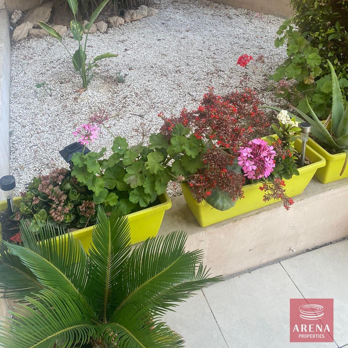 5-gf-apt-in-ayia-napa-6183-1