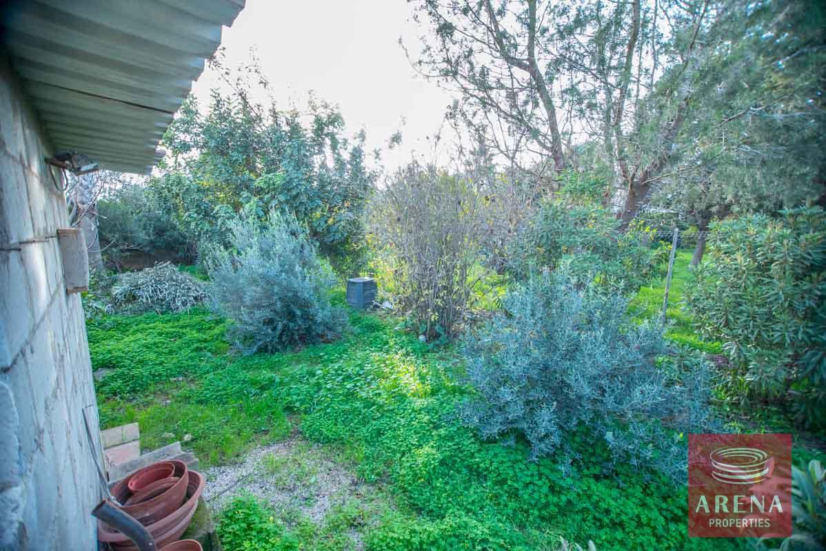 5-house-for-sale-in-achna-garden-1