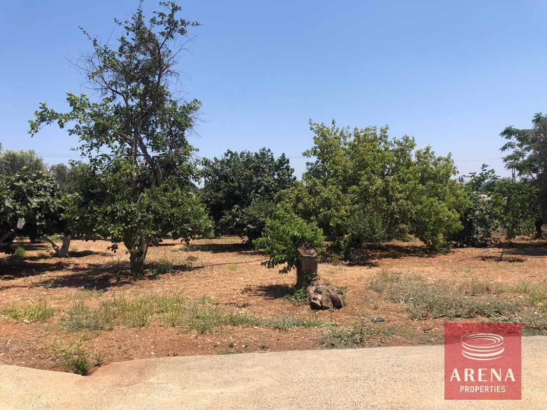 5-villa-in-paralimni-5163