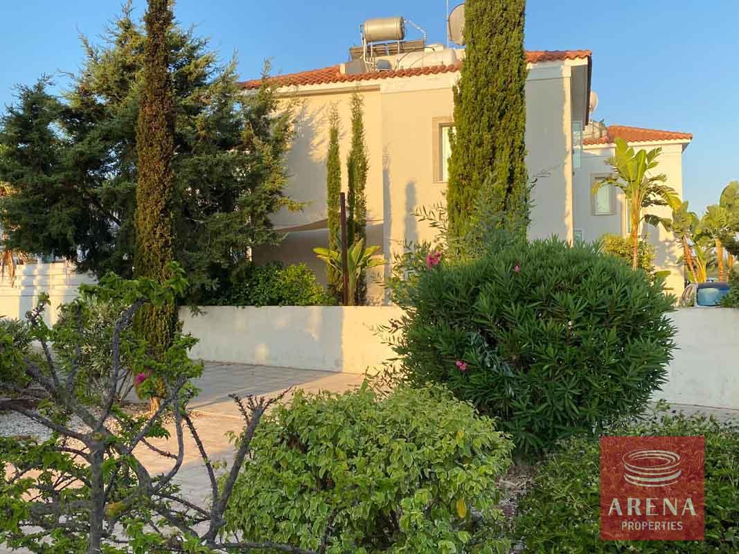 5-villa-with-deeds-in-pernera-5742-2