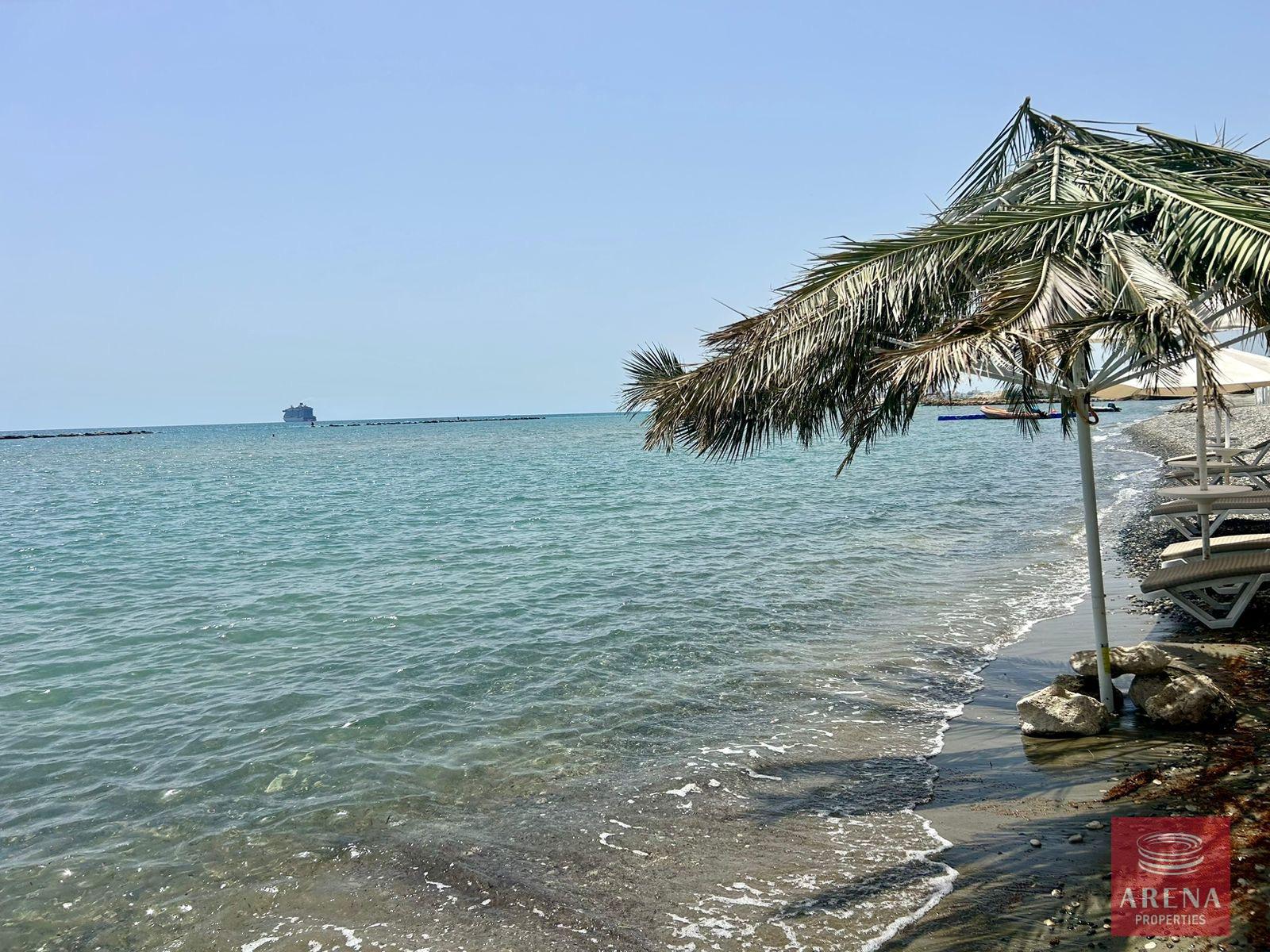 5506bc4f-d95f-4b4c-8a85-1543230d2e22-1