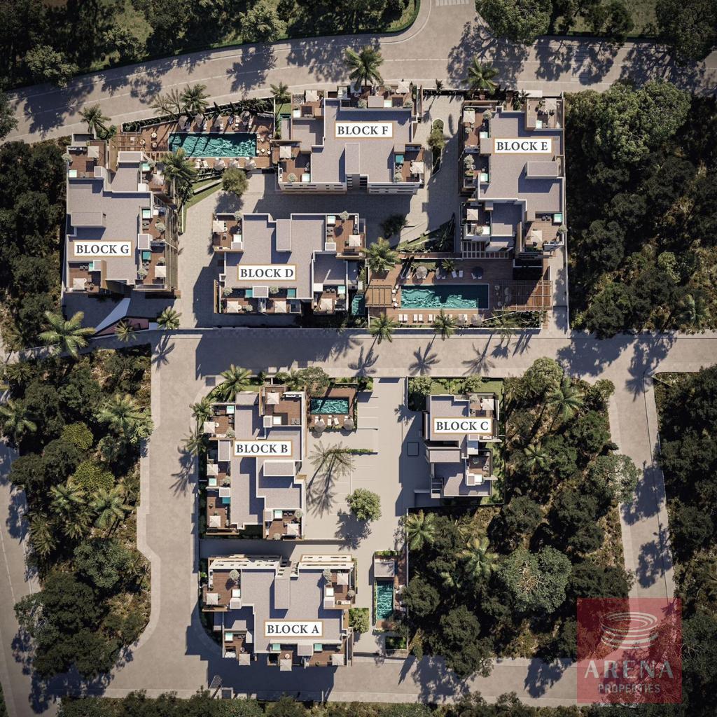 5ab31d4e-d2b0-48bc-84cf-d8e2b1a3074d-8