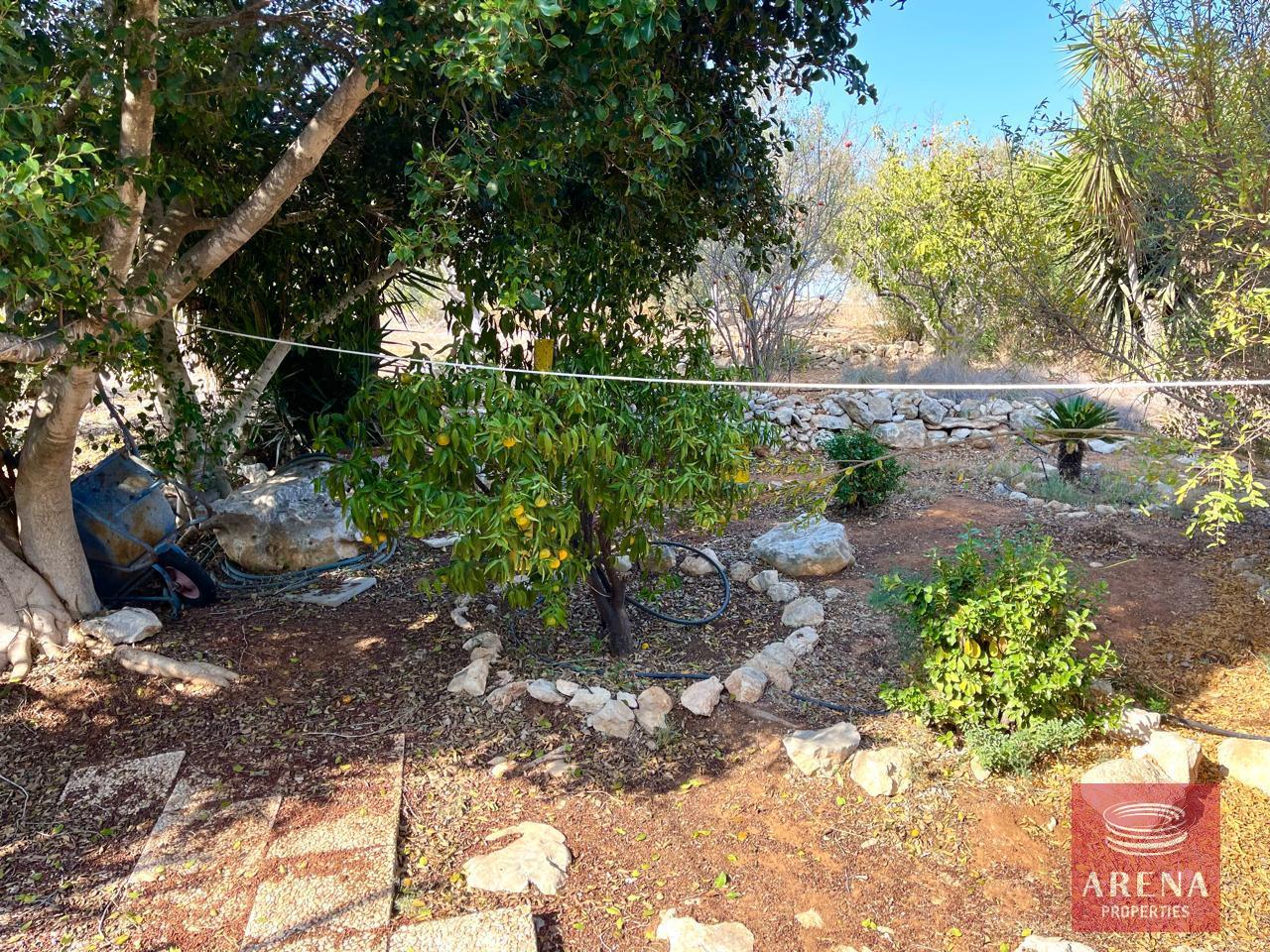 6-2-BED-HOUSE-PARALIMNI-8768