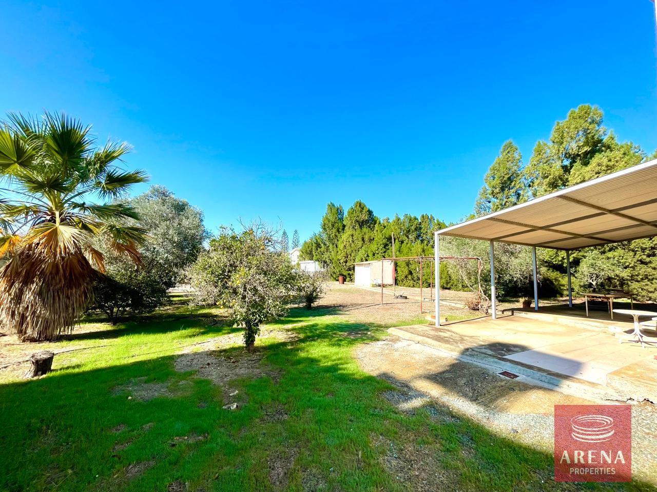 6-2-ED-VILLA-SOFTADES-8889