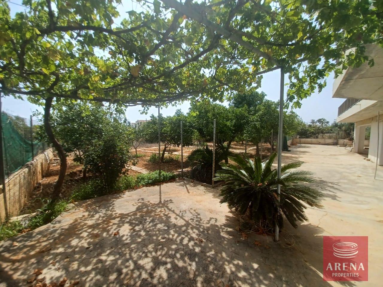 6-3-BED-HOUSE-IN-DERYNIA-7162