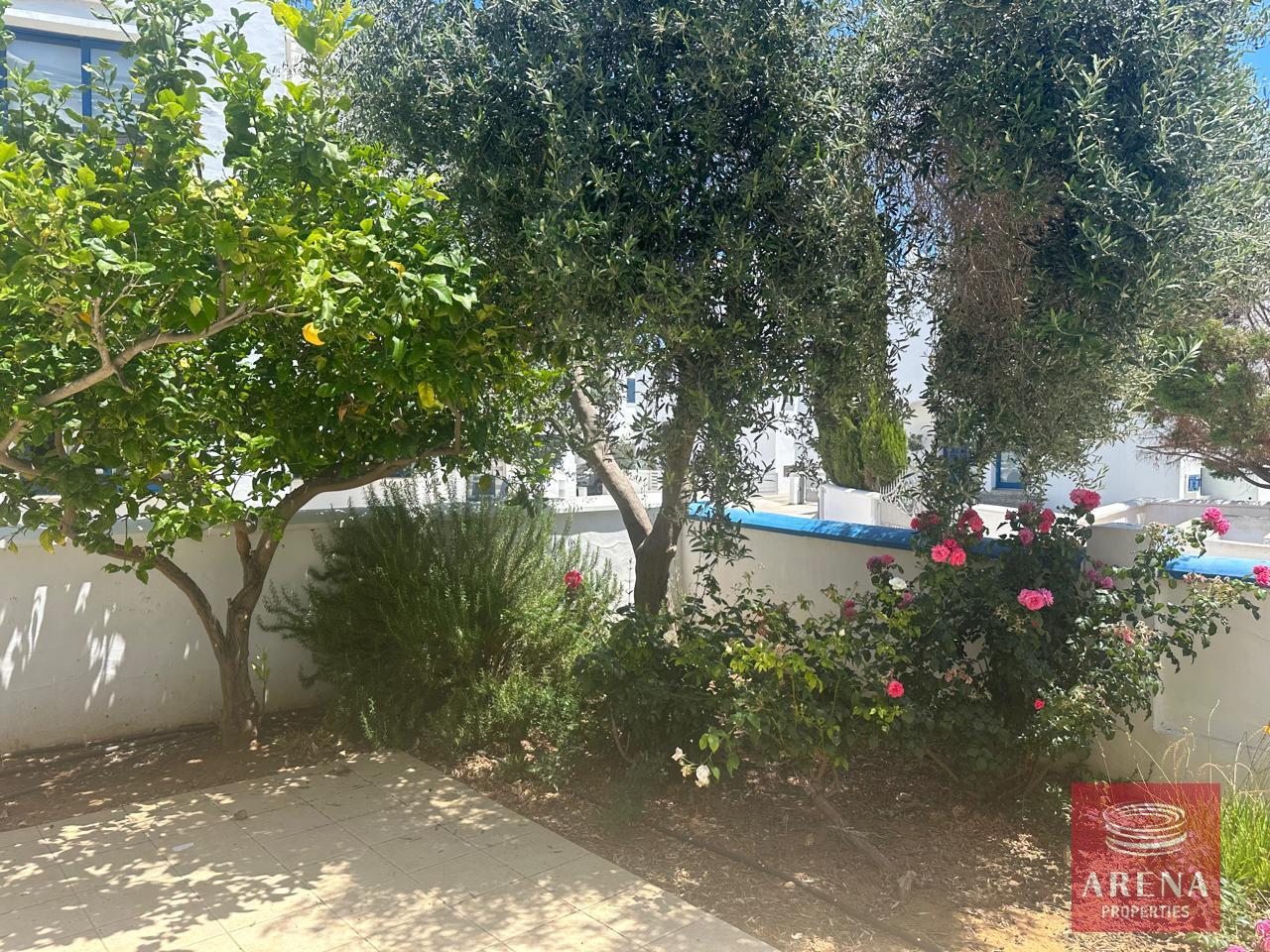 6-3-BED-VILLA-IN-AYIA-TRIADA-8083