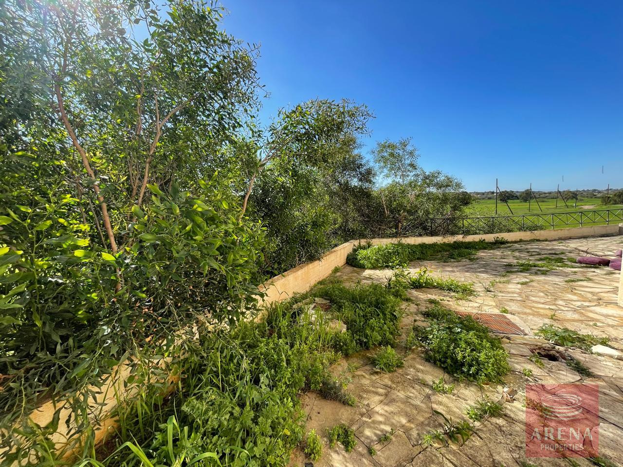 6-3-BED-VILLA-PROTARAS-9331