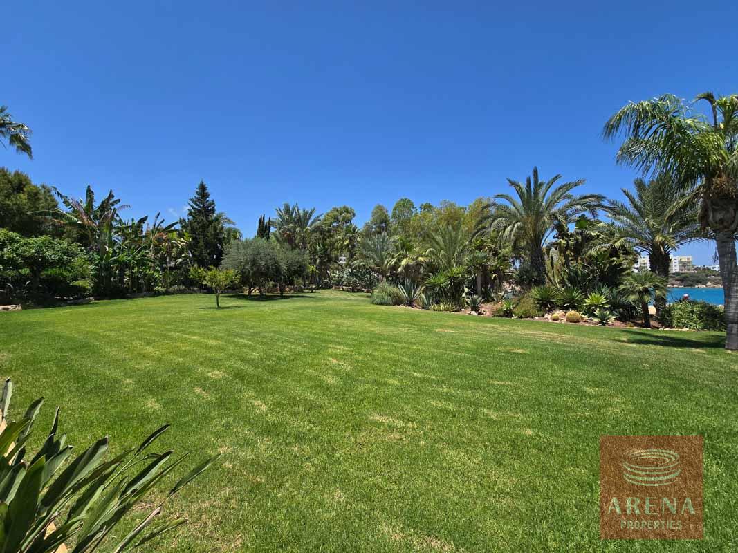 6-4-BED-VILLA-CAPE-GRECO-8275-2