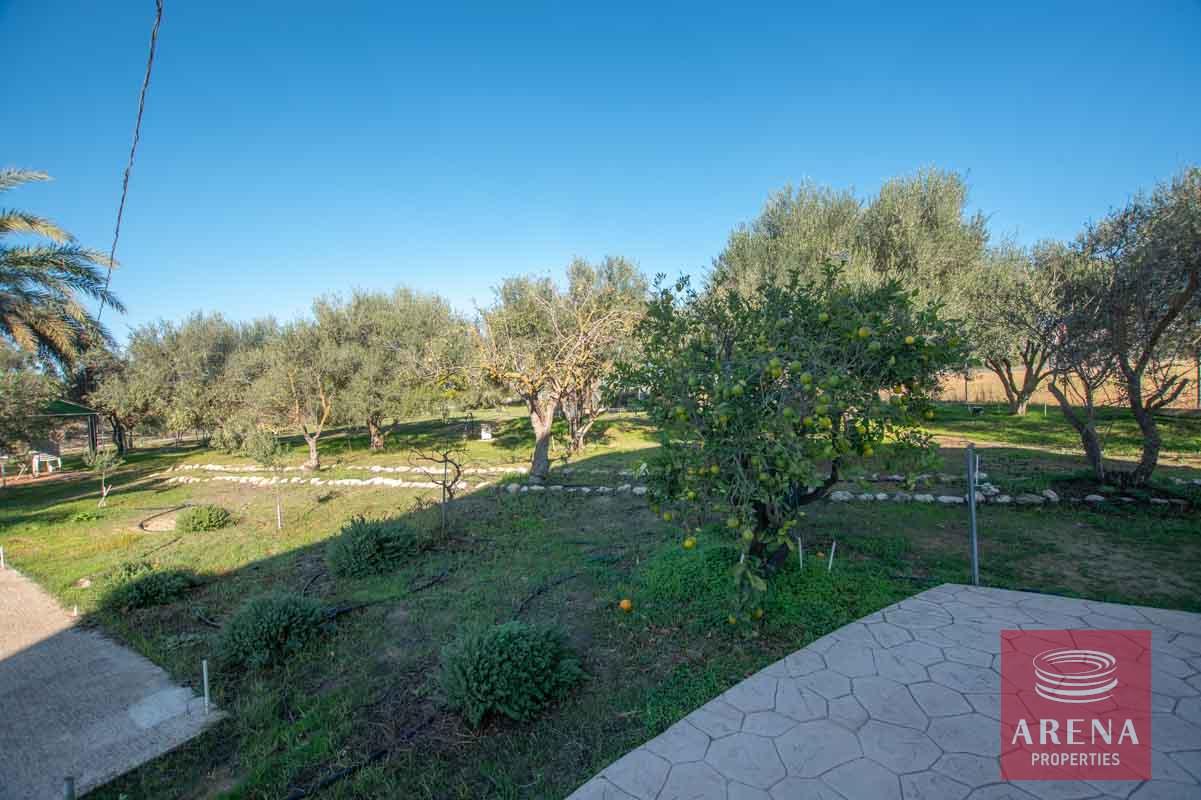 6-4-BED-VILLA-FOR-RENT-IN-VRYSOULLES-5956-2