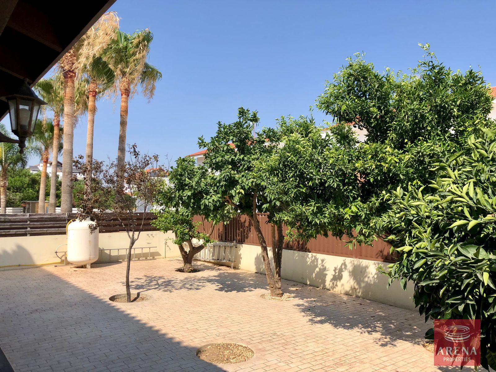 6-4-BED-VILLA-IN-PYLA-8300-1