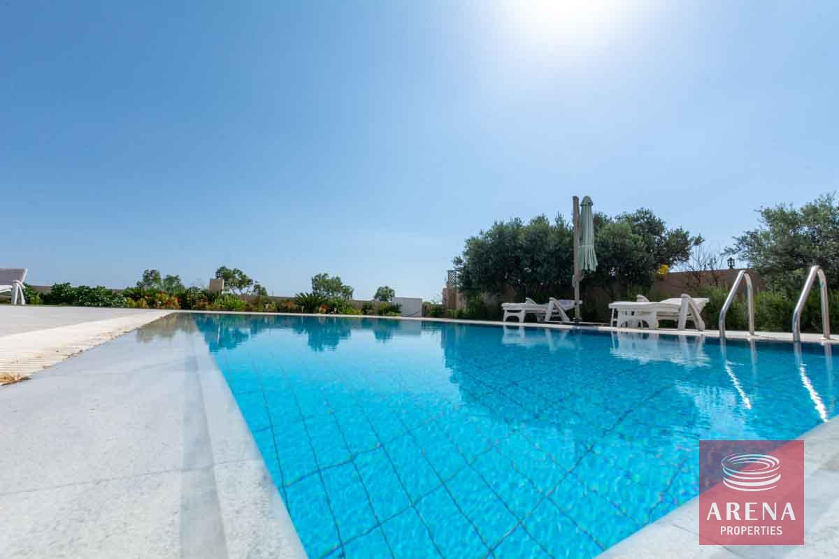 6-4-Bed-villa-in-Protaras-6036-1