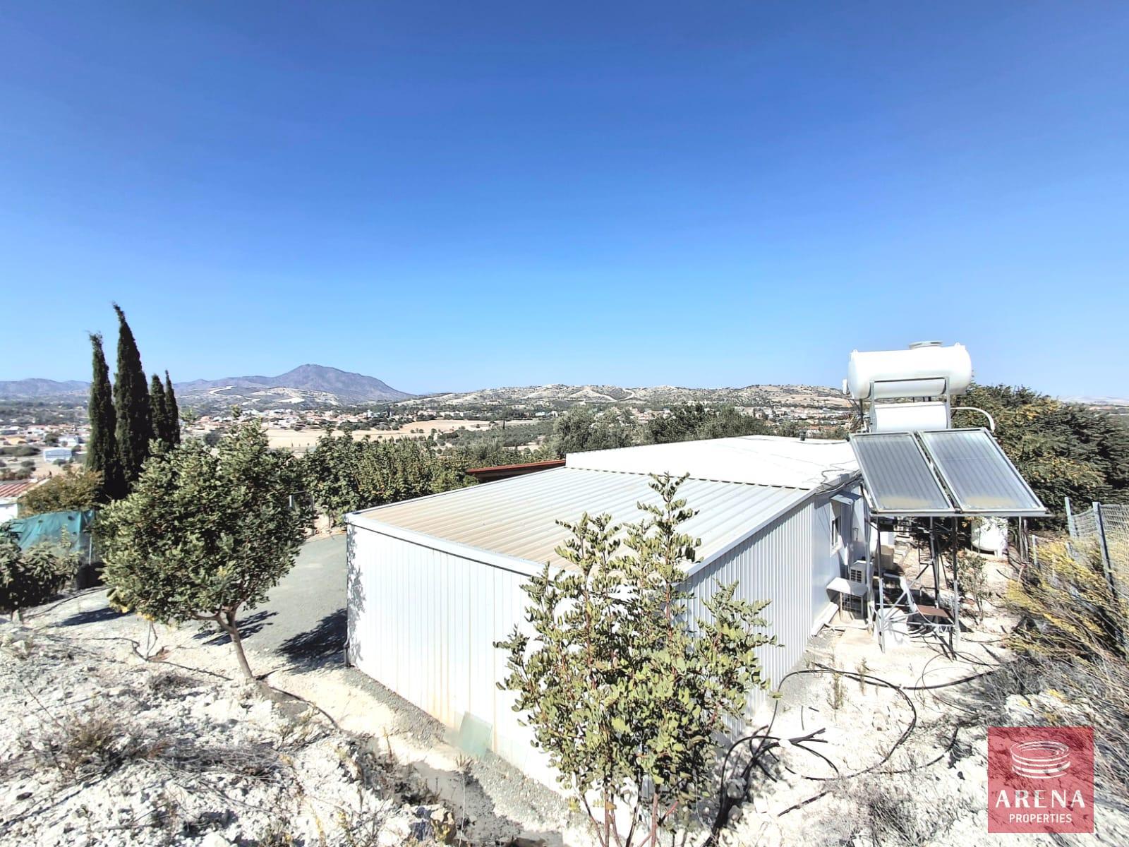 6-BUNGALOW-IN-ALETHRIKO-8835