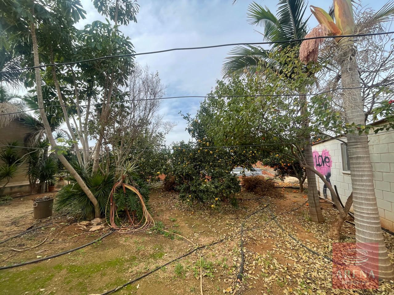 6-BUNGALOW-IN-ORMIDIA-9314