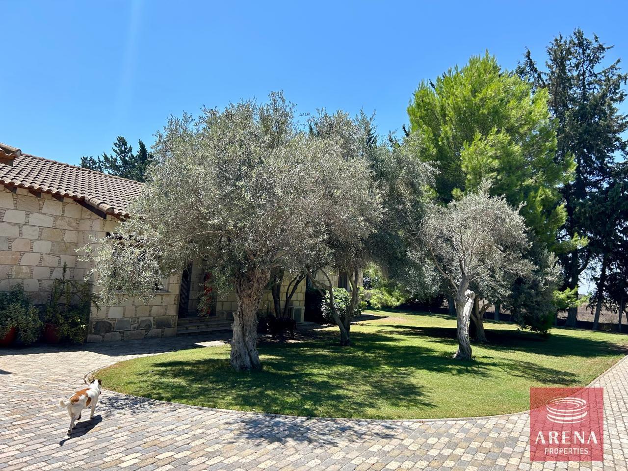 6-BUNGALOW-IN-SOFTADES-8621