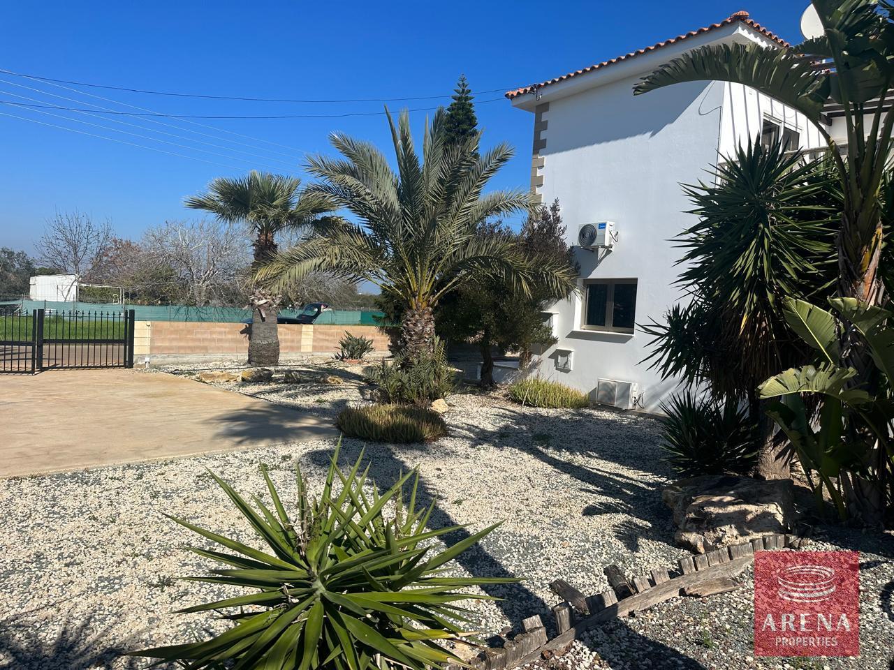 6-VILLA-FOR-RENT-IN-LIOPETRI-9223