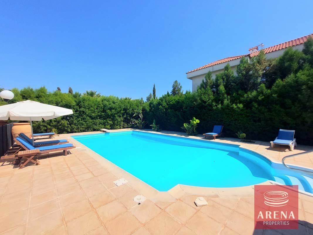 6-VILLA-IN-AYIA-NAPA-6501