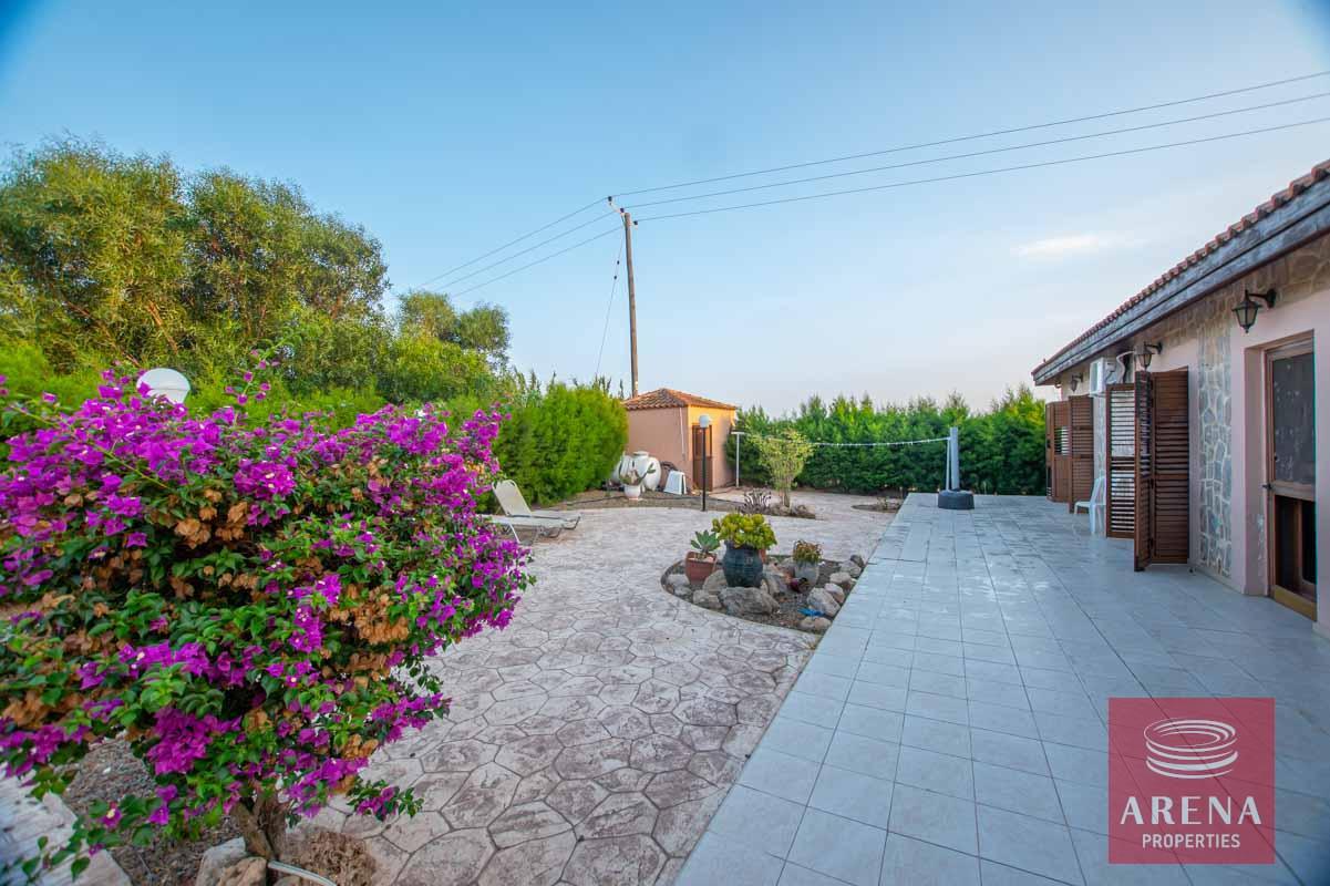 6-bungalow-in-sotira-2