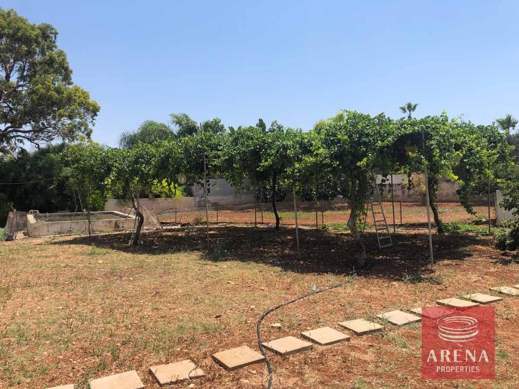 6-villa-in-paralimni-5163
