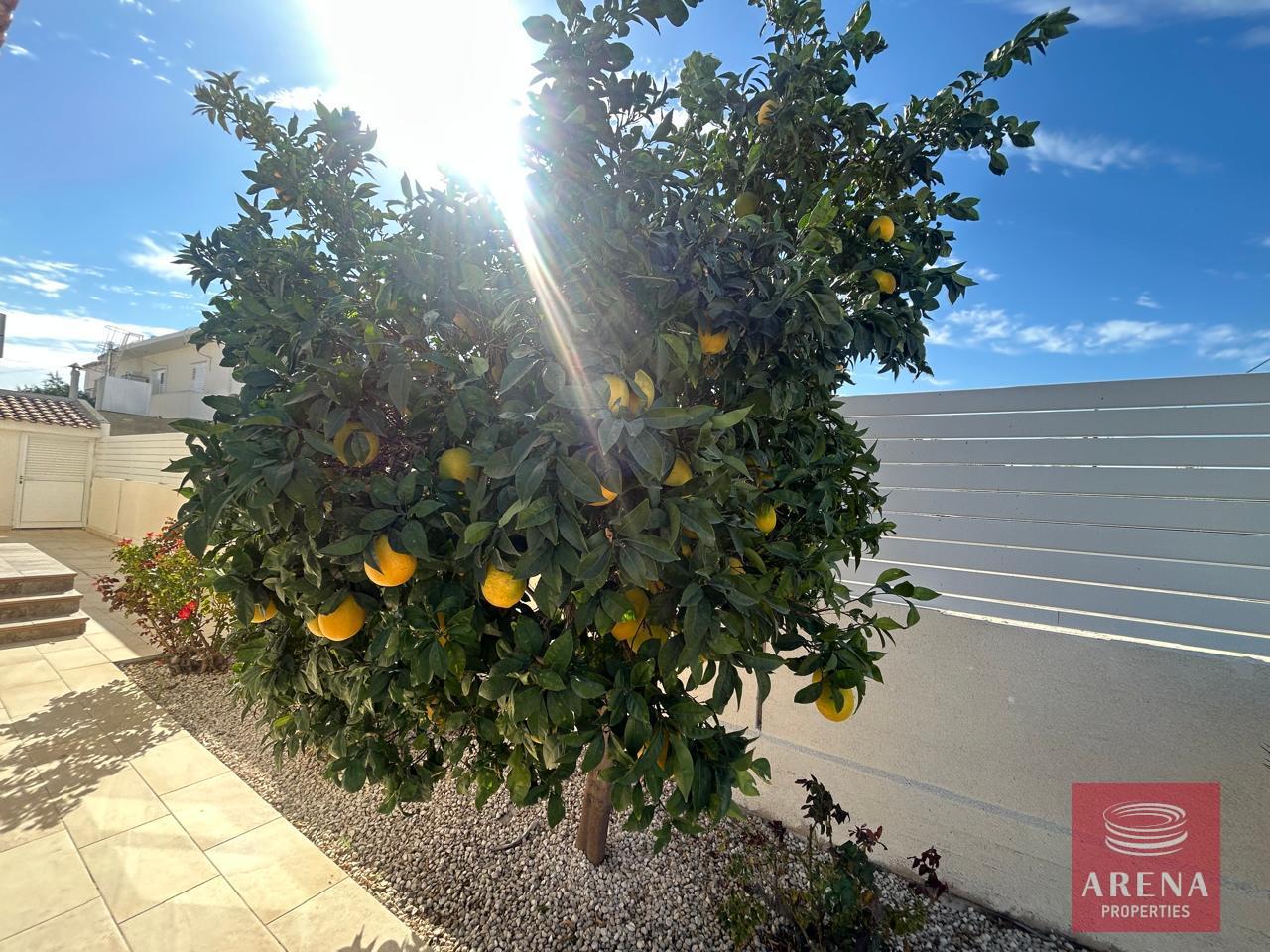 7-5-BED-VILLA-IN-LARNACA-8878