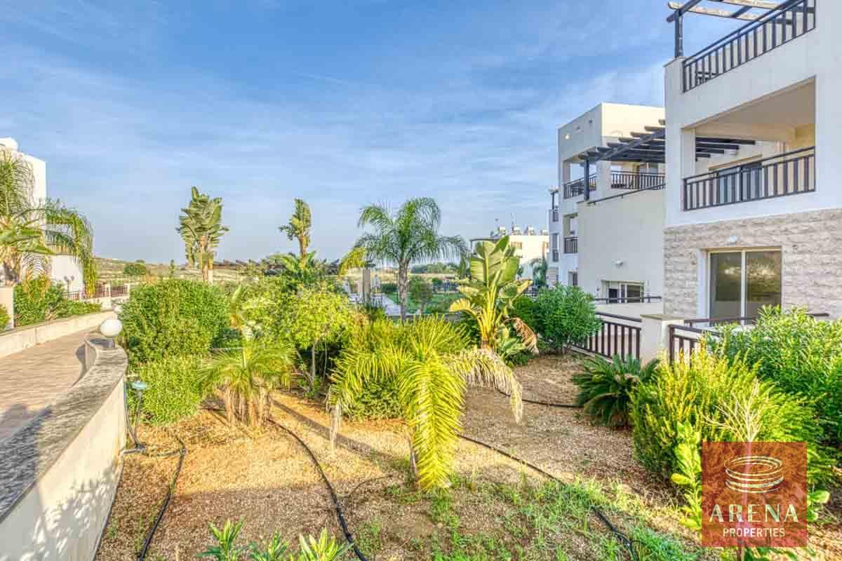 7-Studio-in-Paralimni-5664-1