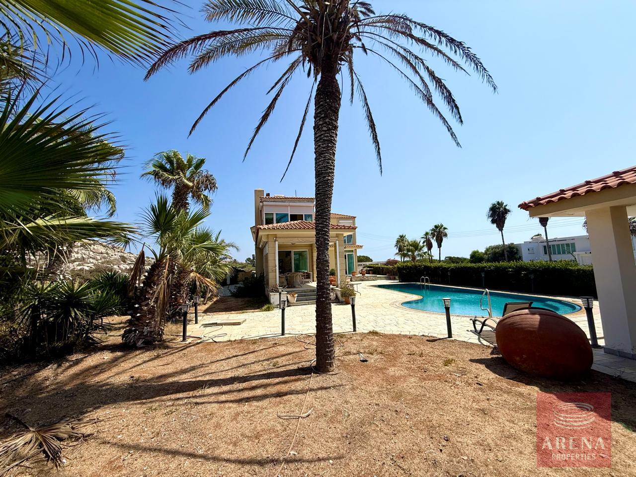 7-VILLA-AYIA-NAPA-10149-5