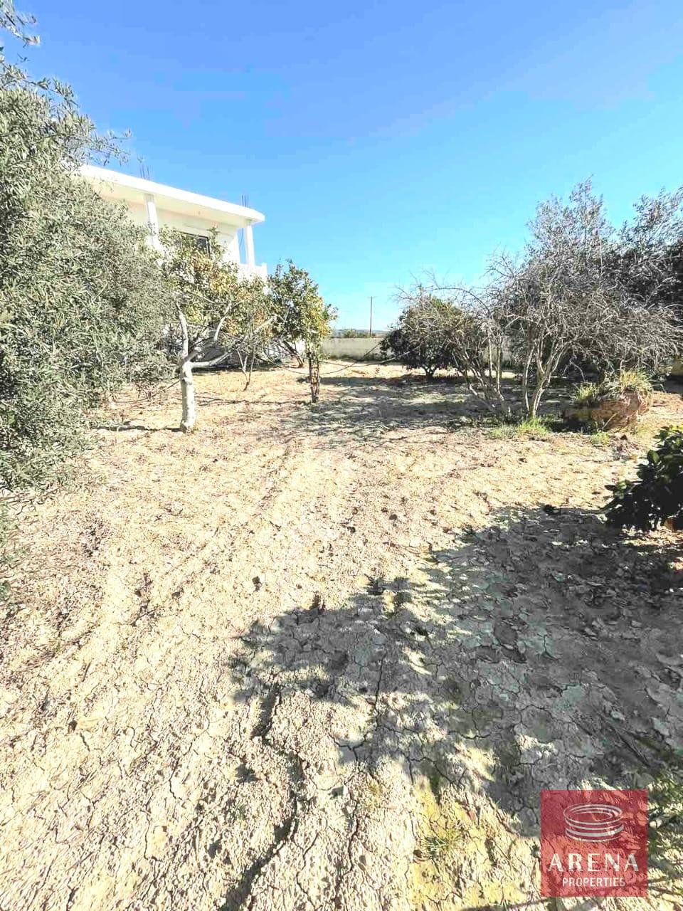 7-VILLA-IN-ANAFOTIDA-9094