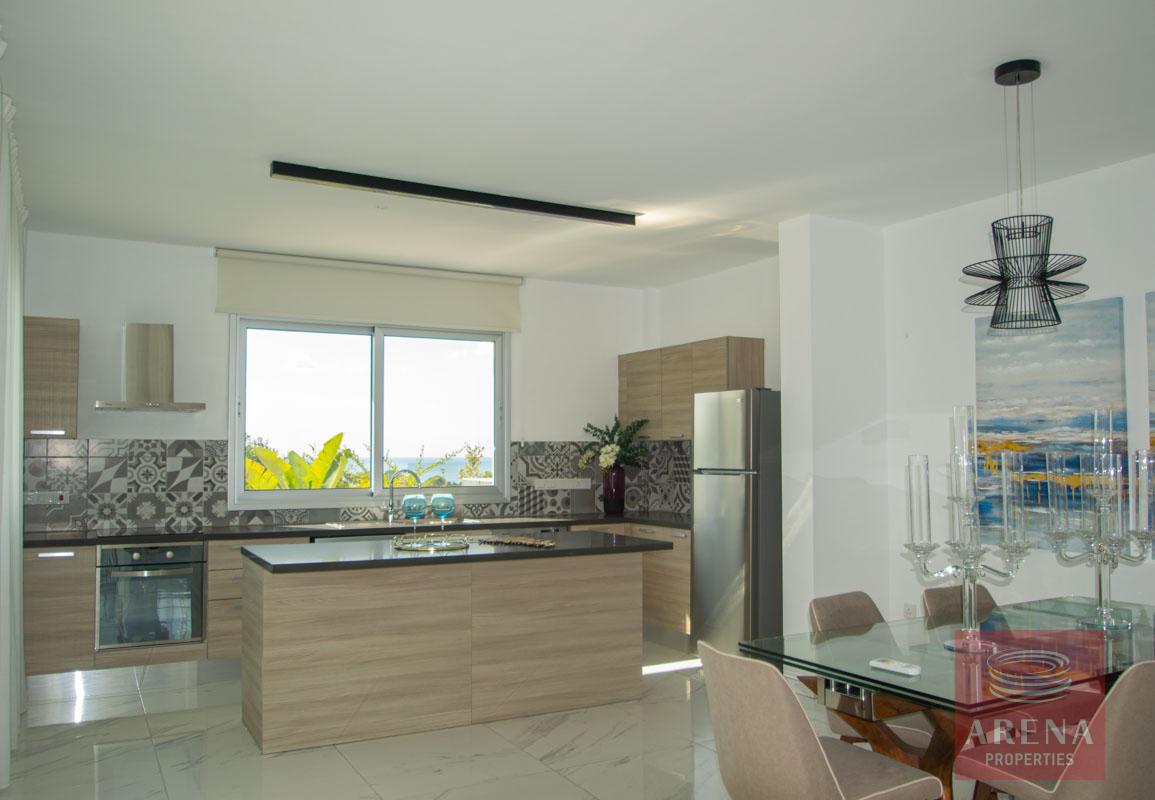 7-Villa-in-Ayia-Napa-5577-1
