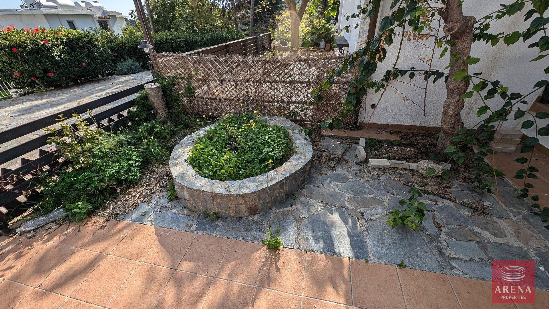 7-studio-protaras-9181