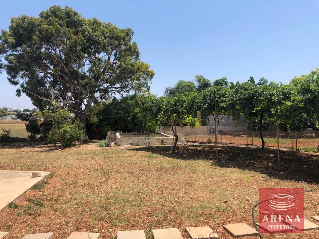 7-villa-in-paralimni-5163
