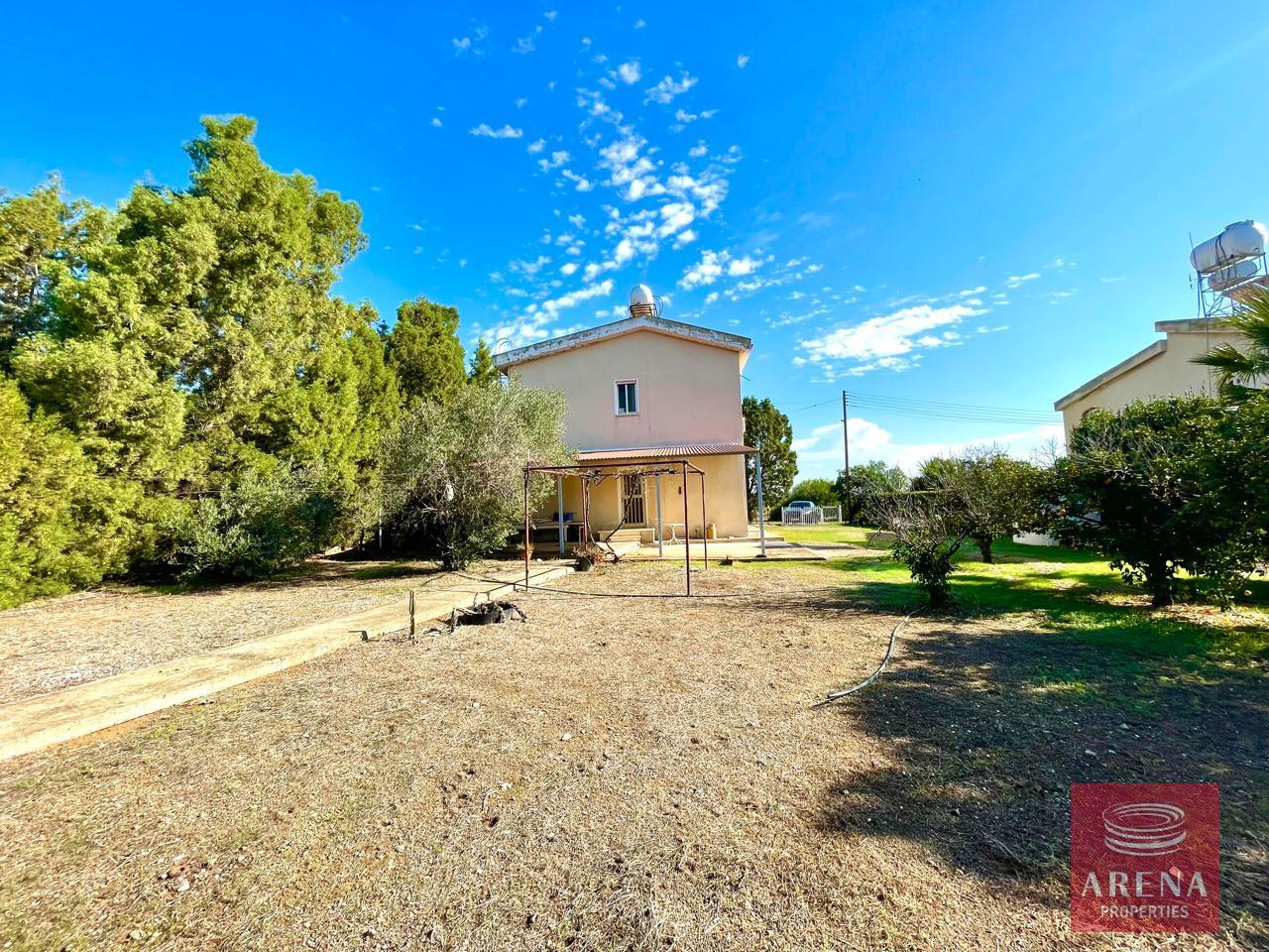 8-2-ED-VILLA-SOFTADES-8889