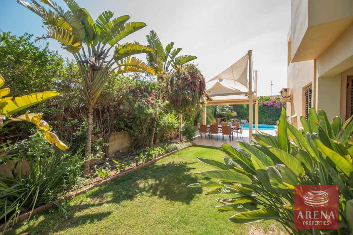 8-4-bed-villa-in-ayia-thekla_1