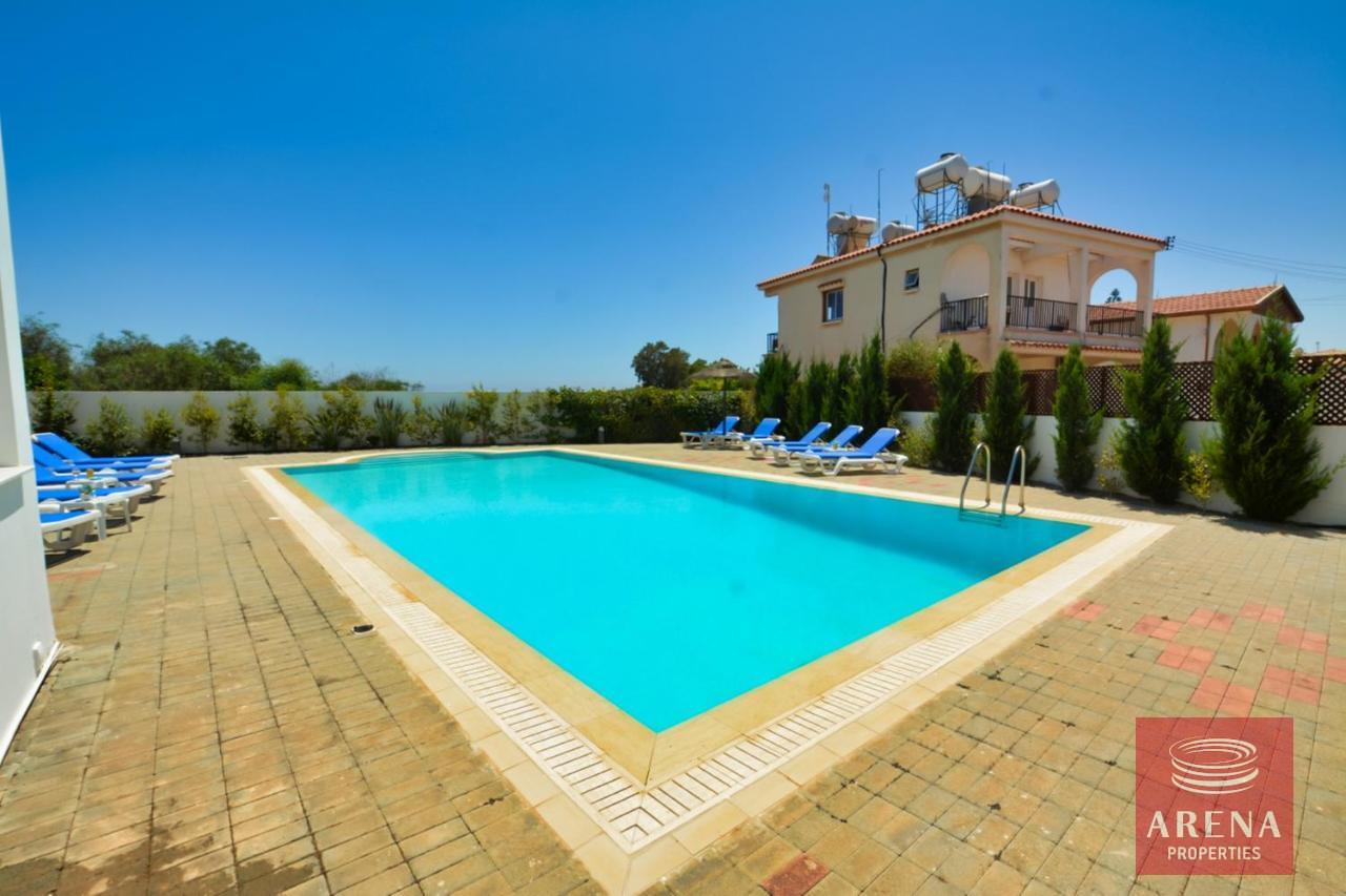 8-7-BED-VILLA-IN-AYIA-NAPA-6706-1