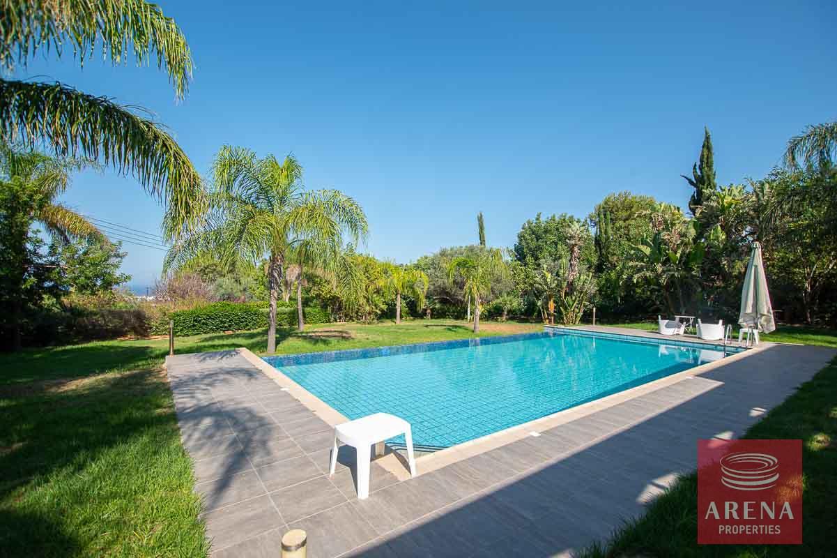 8-8-bed-villa-in-protaras-5703
