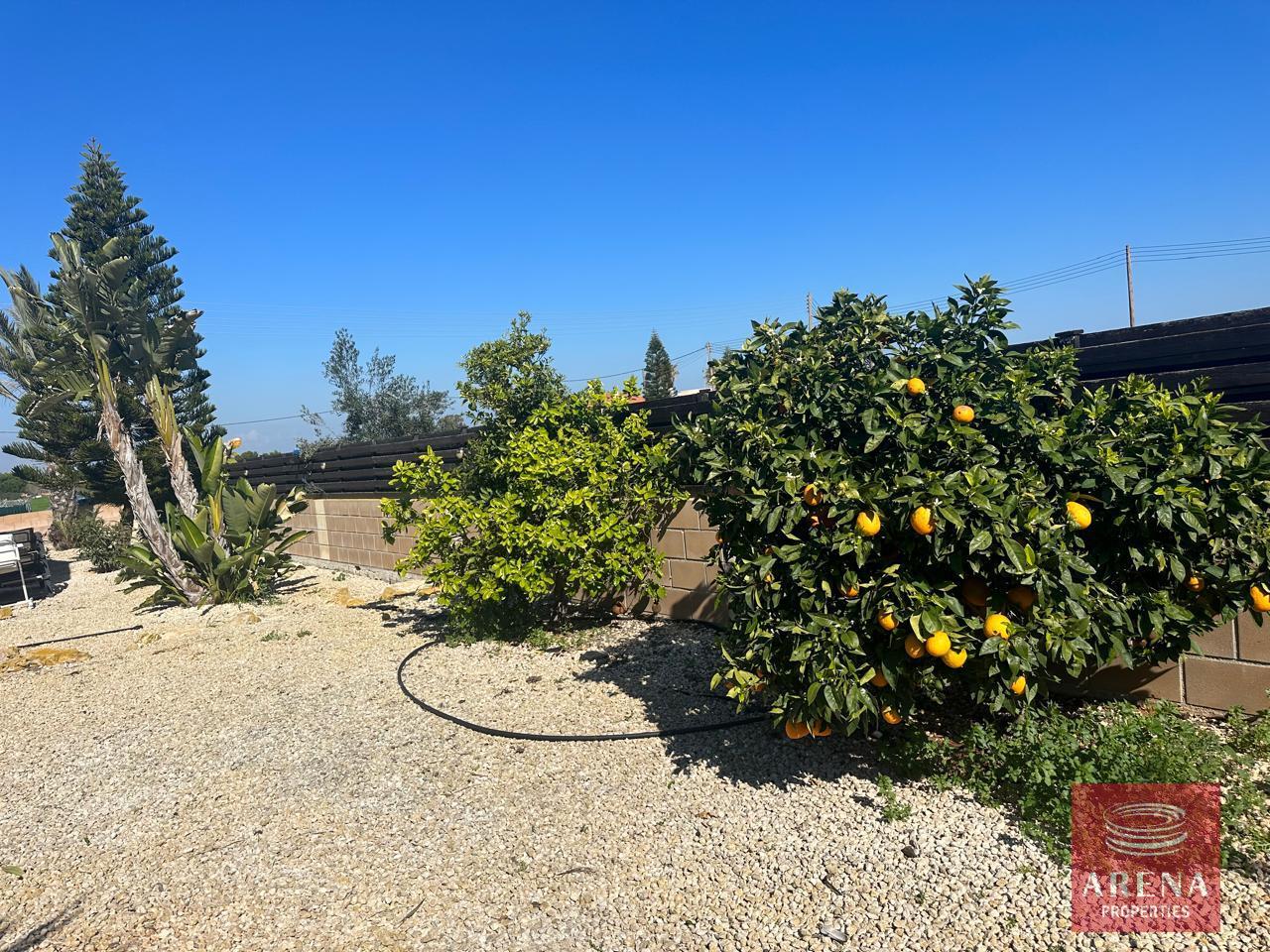 8-VILLA-FOR-RENT-IN-LIOPETRI-9223