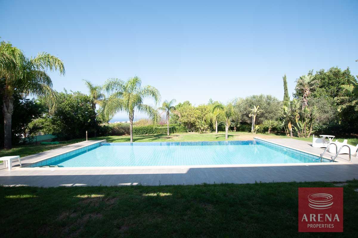 9-8-bed-villa-in-protaras-5703